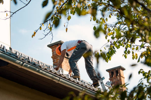 Best Roof Maintenance Services  in Vian, OK