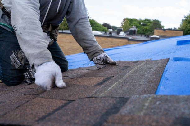 Best Roof Repair Services  in Vian, OK